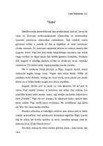 Konspekts 'Romāna "Zelts" satura atstāstījums', 1.