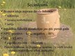 Prezentācija 'Biznesa ideja un naudas plūsmas aprēķināšana', 5.