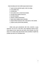 Prakses atskaite 'Audzināšana', 9.