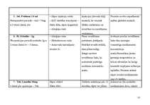 Konspekts 'Aprūpes plāns farmakoloģijā', 14.