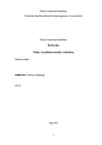 Referāts 'Pilsētas imidža veidošana', 1.