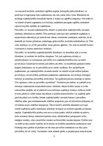 Referāts 'Pilsētas imidža veidošana', 11.