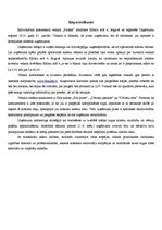 Biznesa plāns 'Individuālais komersants "Fazāns"', 3.