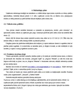 Biznesa plāns 'Individuālais komersants "Fazāns"', 7.