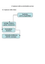 Biznesa plāns 'Individuālais komersants "Fazāns"', 10.