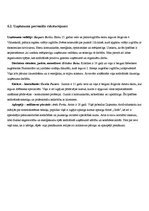 Biznesa plāns 'Individuālais komersants "Fazāns"', 11.