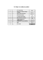 Biznesa plāns 'Individuālais komersants "Fazāns"', 16.