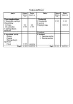 Biznesa plāns 'Individuālais komersants "Fazāns"', 18.