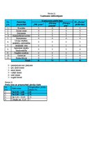 Biznesa plāns 'Individuālais komersants "Fazāns"', 20.