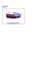 Biznesa plāns 'Individuālais komersants "Fazāns"', 23.