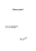 Biznesa plāns 'Biznesa plāns. SIA dibināšana', 1.