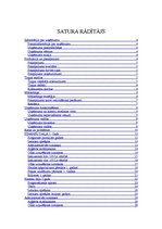 Biznesa plāns 'Biznesa plāns. SIA dibināšana', 2.