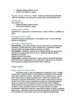 Biznesa plāns 'Biznesa plāns. SIA dibināšana', 5.