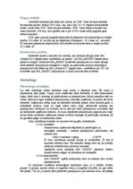 Biznesa plāns 'Biznesa plāns. SIA dibināšana', 6.