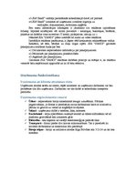 Biznesa plāns 'Biznesa plāns. SIA dibināšana', 8.