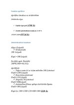 Biznesa plāns 'Biznesa plāns. SIA dibināšana', 13.