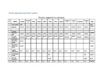 Biznesa plāns 'Biznesa plāns. SIA dibināšana', 18.