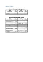 Biznesa plāns 'Biznesa plāns. SIA dibināšana', 21.