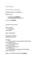 Biznesa plāns 'Biznesa plāns. SIA dibināšana', 28.