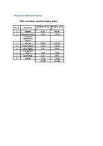 Biznesa plāns 'Biznesa plāns. SIA dibināšana', 32.