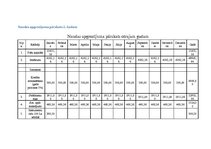 Biznesa plāns 'Biznesa plāns. SIA dibināšana', 33.