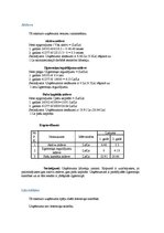 Biznesa plāns 'Biznesa plāns. SIA dibināšana', 39.