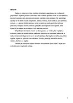 Referāts 'Sporta kluba X apraksts no higiēniskā viedokļa', 3.