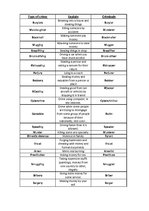 Konspekts 'Types of Crime', 1.