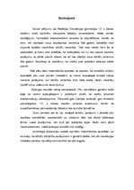 Referāts 'Mārketinga pētījums', 13.