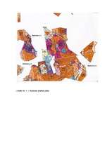 Referāts 'Baldones meža biotopi - pirmatnējās dabas daudzveidība un nozīme', 46.