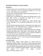 Referāts 'Tiesību normu piemērošanas stadijas', 30.