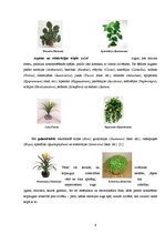 Referāts 'Telpaugu nozīme viesmīlīgas atmosfēras radīšanā', 6.