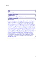 Referāts 'Franšīzes', 2.