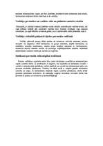 Konspekts 'Vadītāja personības nozīme uzņēmuma vadīšanā', 4.