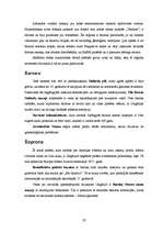 Referāts 'Ungārija', 20.