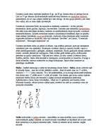 Konspekts 'Japāna, Ķīna, Indija, jēdzieni un to paskaidrojums', 12.