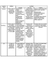 Konspekts 'Lietišķie raksti', 1.