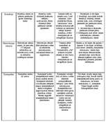 Konspekts 'Lietišķie raksti', 2.