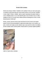 Prakses atskaite 'Kvalifikācijas prakse SIA "Gulevs"', 6.