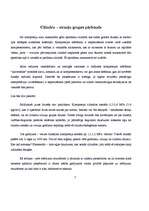 Prakses atskaite 'Kvalifikācijas prakse SIA "Gulevs"', 7.