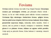 Prezentācija 'Māksla Latvijā un pasaulē 20.gadsimta pirmajā pusē', 7.