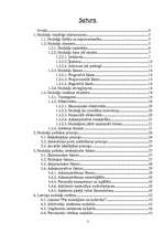 Referāts 'Nodokļu sistēma Latvijā', 2.