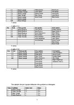 Referāts 'Vidusskolas florbola turnīrs', 7.