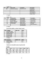 Referāts 'Vidusskolas florbola turnīrs', 10.