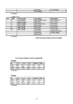 Referāts 'Vidusskolas florbola turnīrs', 17.