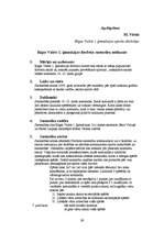 Referāts 'Vidusskolas florbola turnīrs', 29.