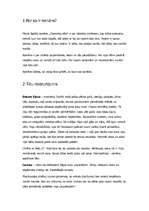 Eseja 'Viļa Lāča romāns "Zvejnieka dēls"', 2.