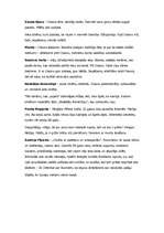 Eseja 'Viļa Lāča romāns "Zvejnieka dēls"', 3.