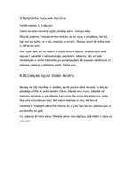 Eseja 'Viļa Lāča romāns "Zvejnieka dēls"', 4.