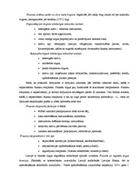 Konspekts 'Finanšu jēdziens, būtība', 5.